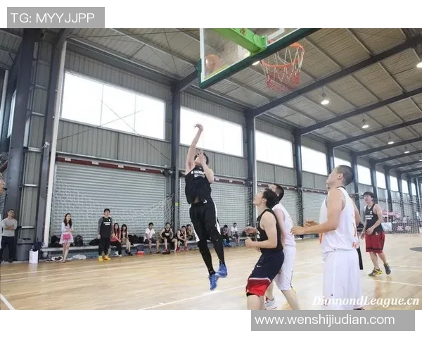 武汉排球队在钻石联赛中的个人能力表现分析与评价