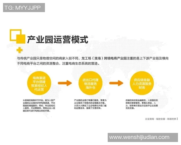 武汉羽毛球队的成功之道:深入解析其运营模式与发展策略 武汉羽毛球队的成功之道:深入解析其运营模式与发展策略