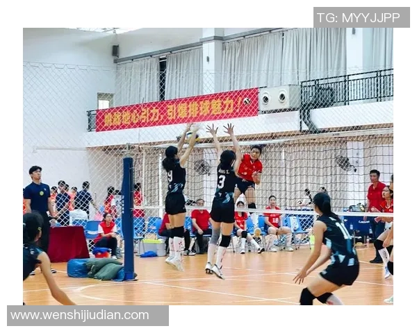 深圳排球队在全国锦标赛中的实力展现与未来发展潜力分析