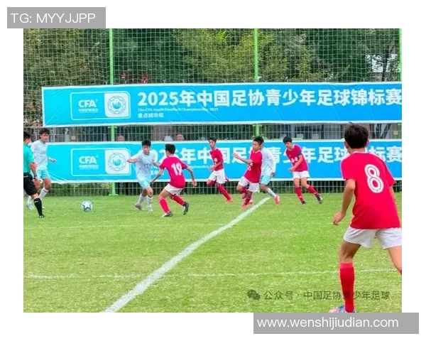 深圳足球队在全国锦标赛中的比赛经验与表现分析 深圳足球队在全国锦标赛中的比赛经验与表现分析